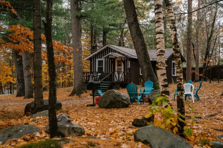 How to Create a Safe Outdoor Space for Your Exotic Pet [Guide], wood house with a porch