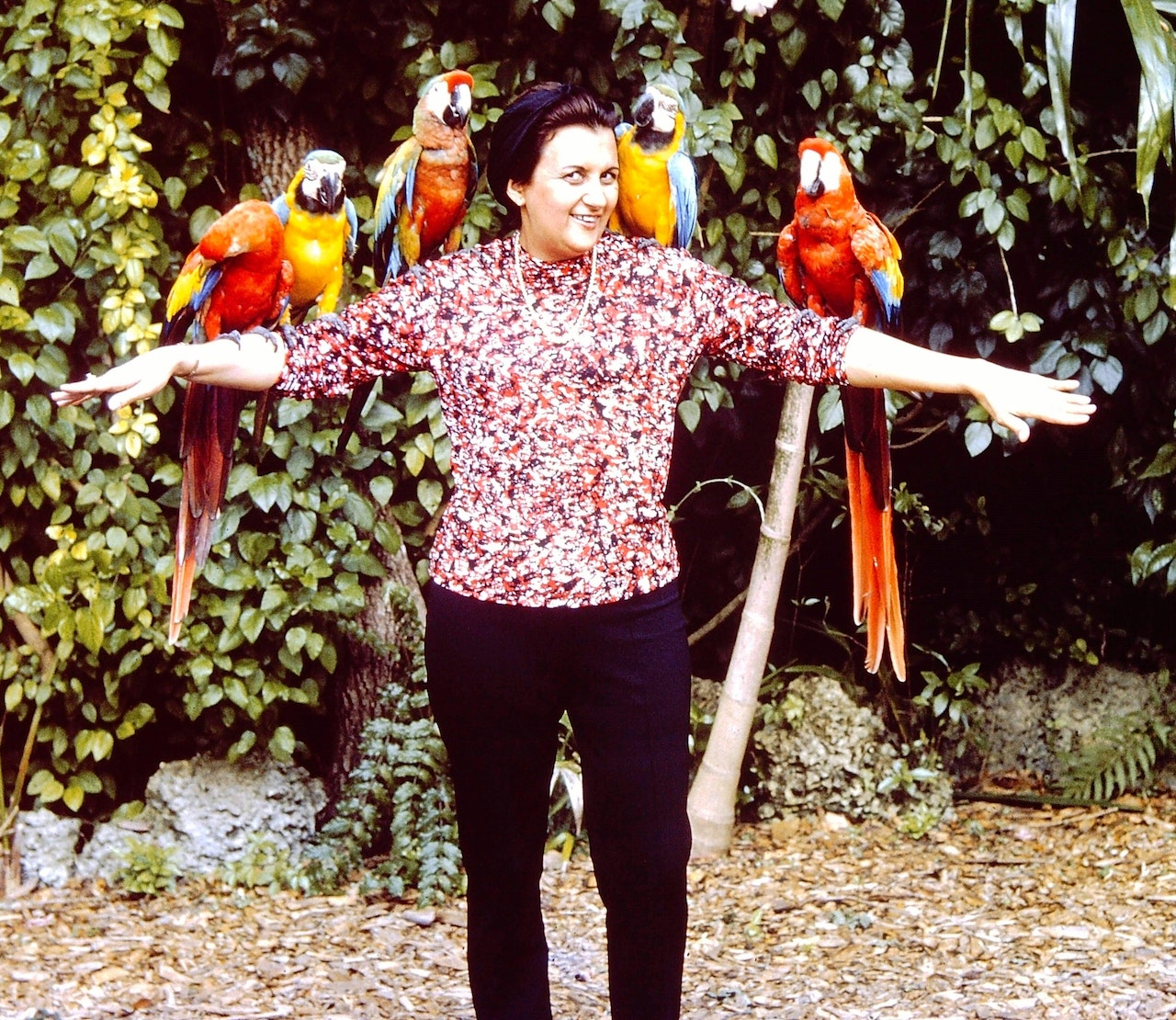 Exploring the Amazing World of Macaws, Cockatoos and Toucans, a woman with four macaws on her arms